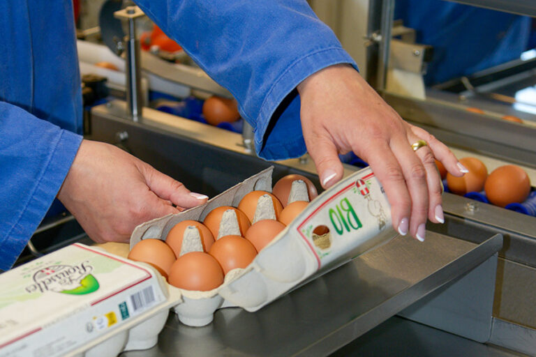 Les Roussettes - Oeufs Bio Frais - Savoie